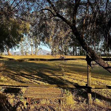 Hotel Rusplaas Guest Farm Fouriesburg Exterior foto